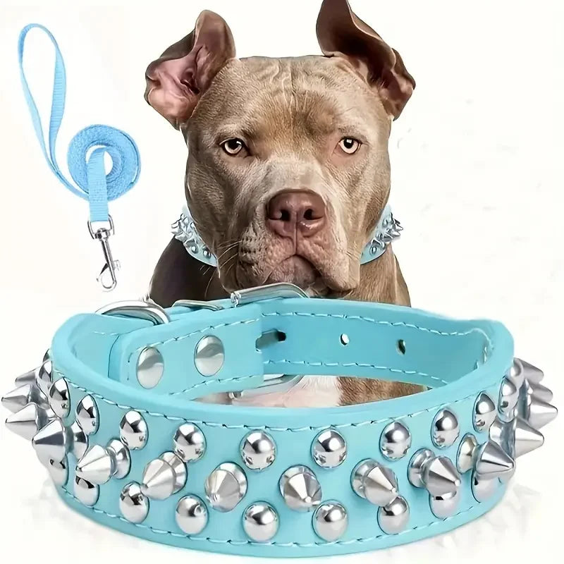 Spiked Dog Collar And Leash Set,