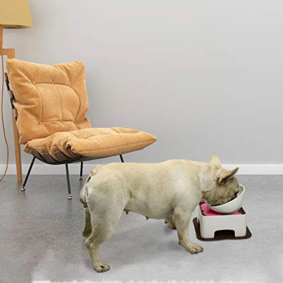 Raised Ceramic Dog Feeding Bowl