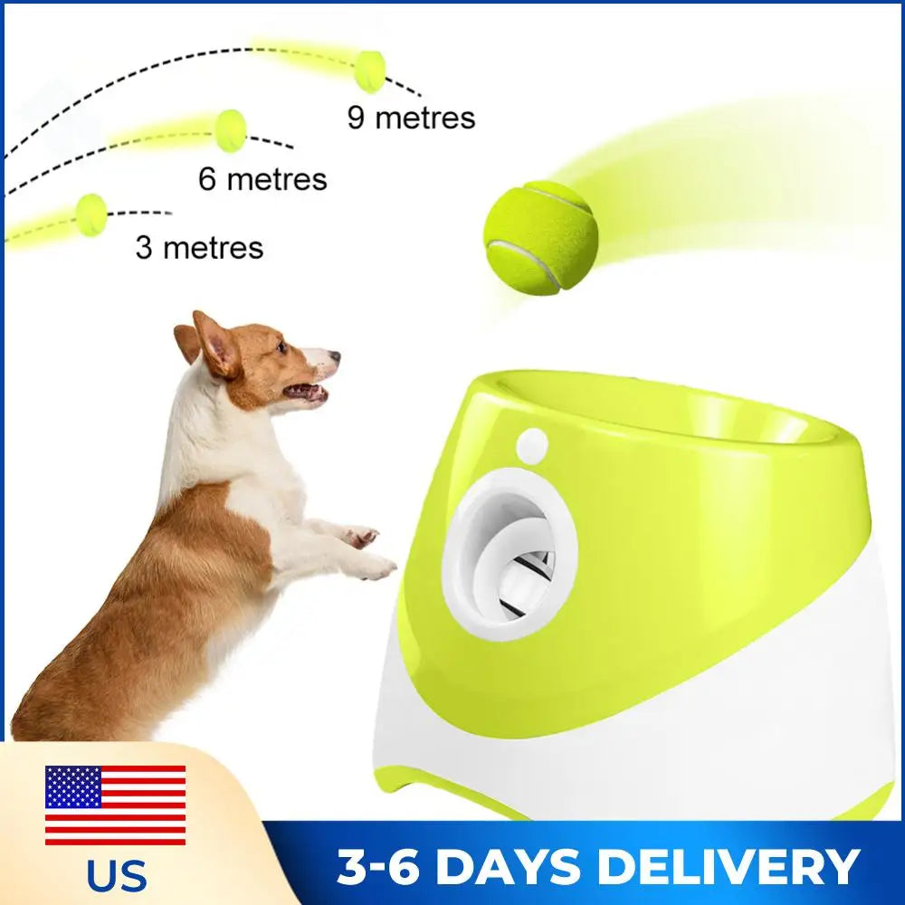 Automatic Pet Dogs Chase,  Fun Interactive Throw Toy