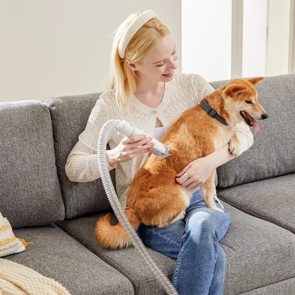 JHK 2.5L Professional Pet Grooming Vacuum Kit
