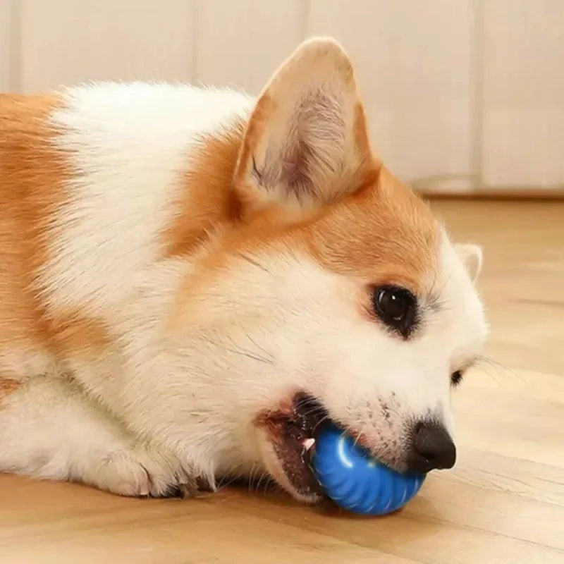 Toy Dog Ball, Automatic Moving Bouncing Rolling Ball
