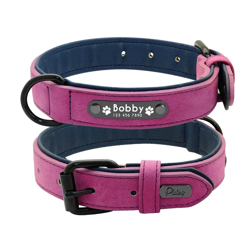 Personalized Name ID Tags Dog Collars Custom Text