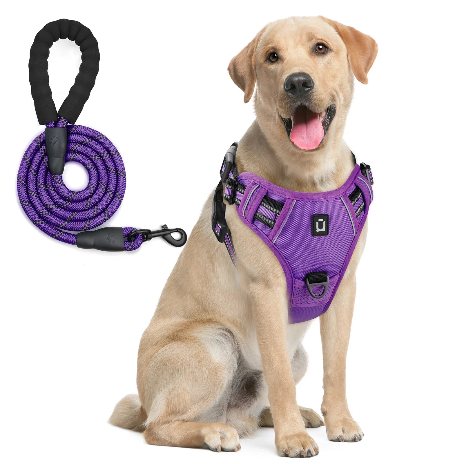 Assorted colors, Dog Harness and Leash Combo, Escape Proof