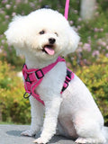 Reflective Pet Harness And Leash Set,