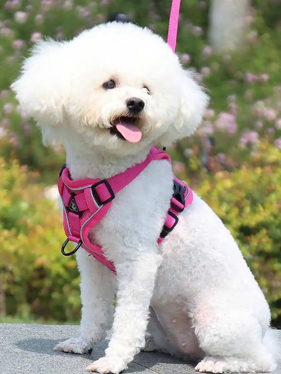 Reflective Pet Harness And Leash Set,