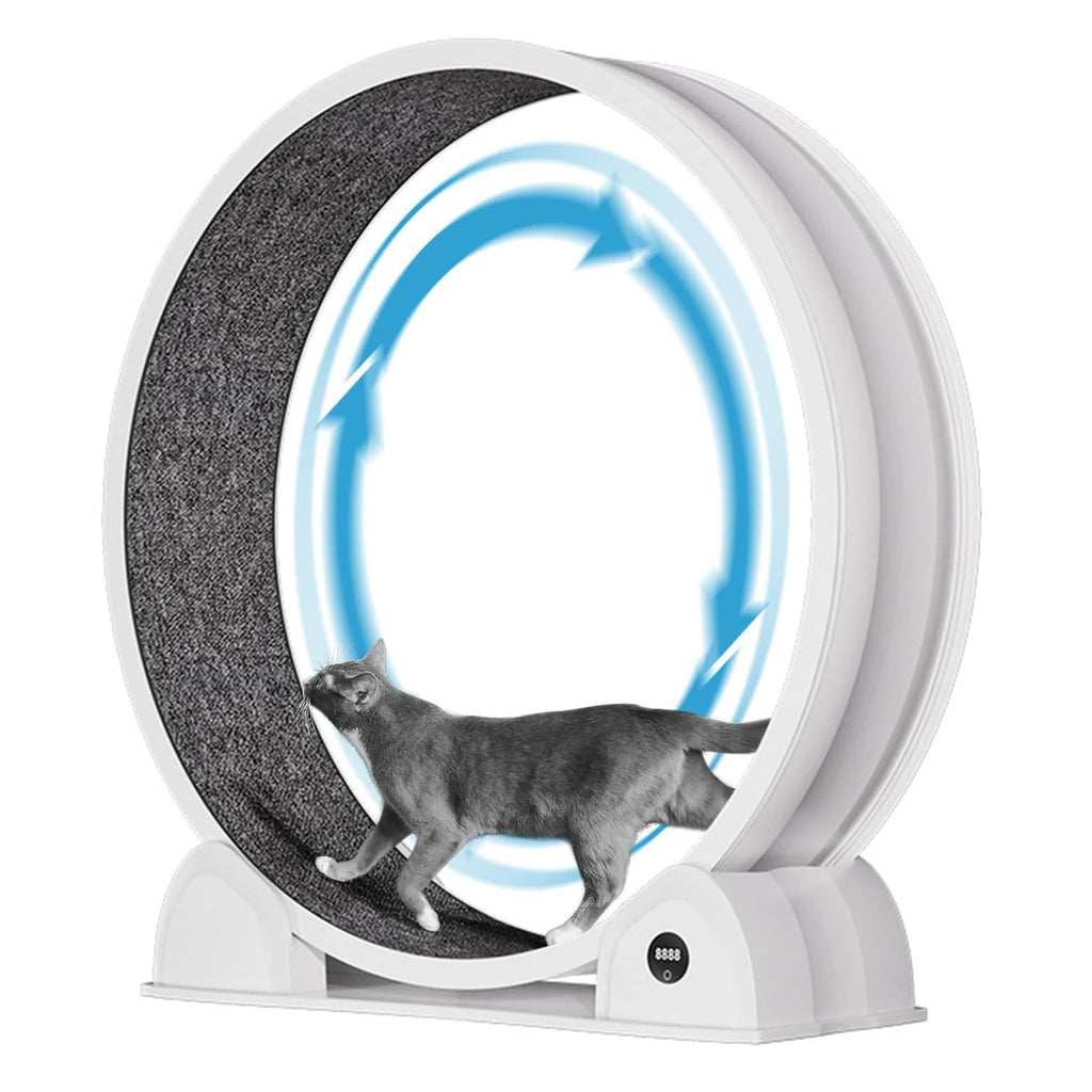 Indoor ABS Cat Wheel Exercisers
