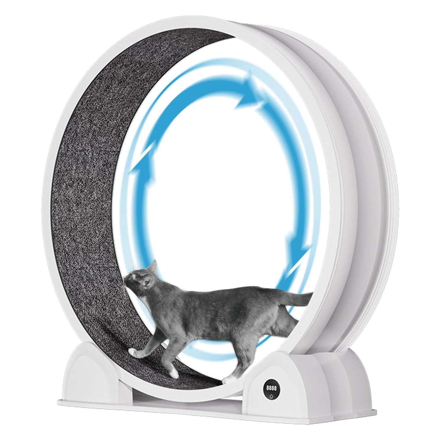Indoor ABS Cat Wheel Exercisers