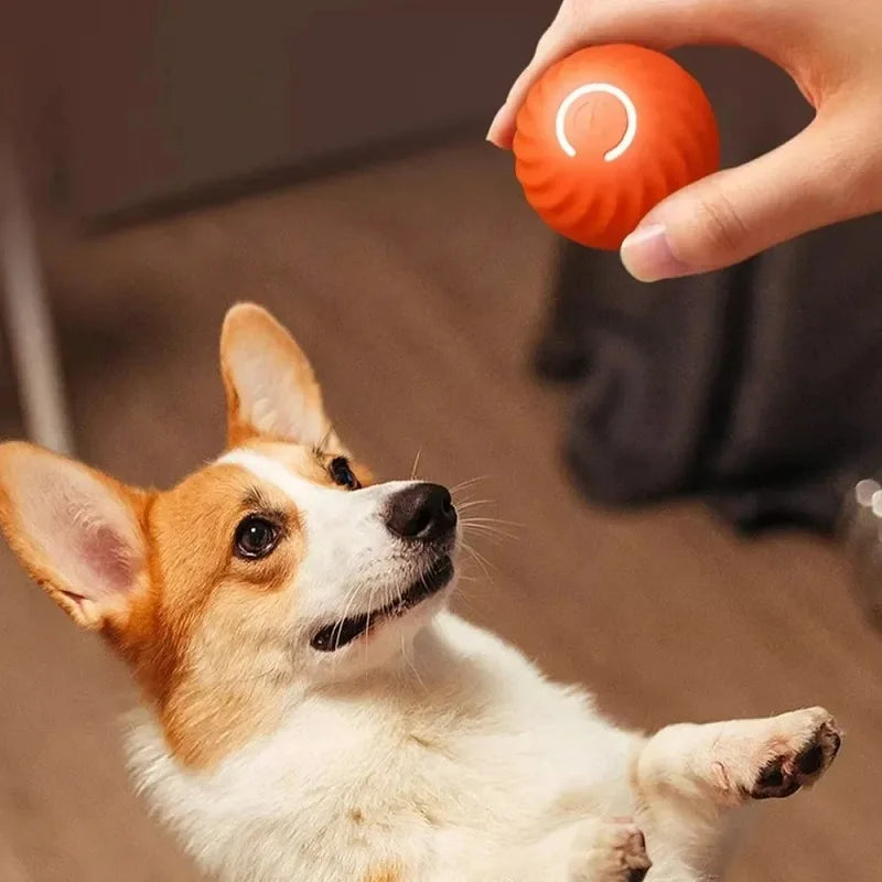 Toy Dog Ball, Automatic Moving Bouncing Rolling Ball