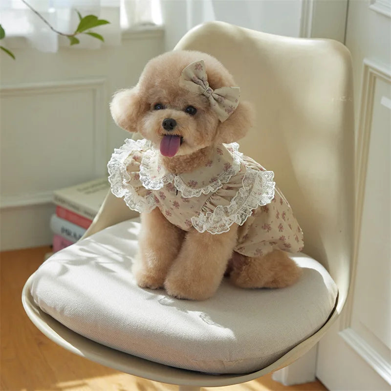 Pet Spring Floral puppy/kitten Printed Dress