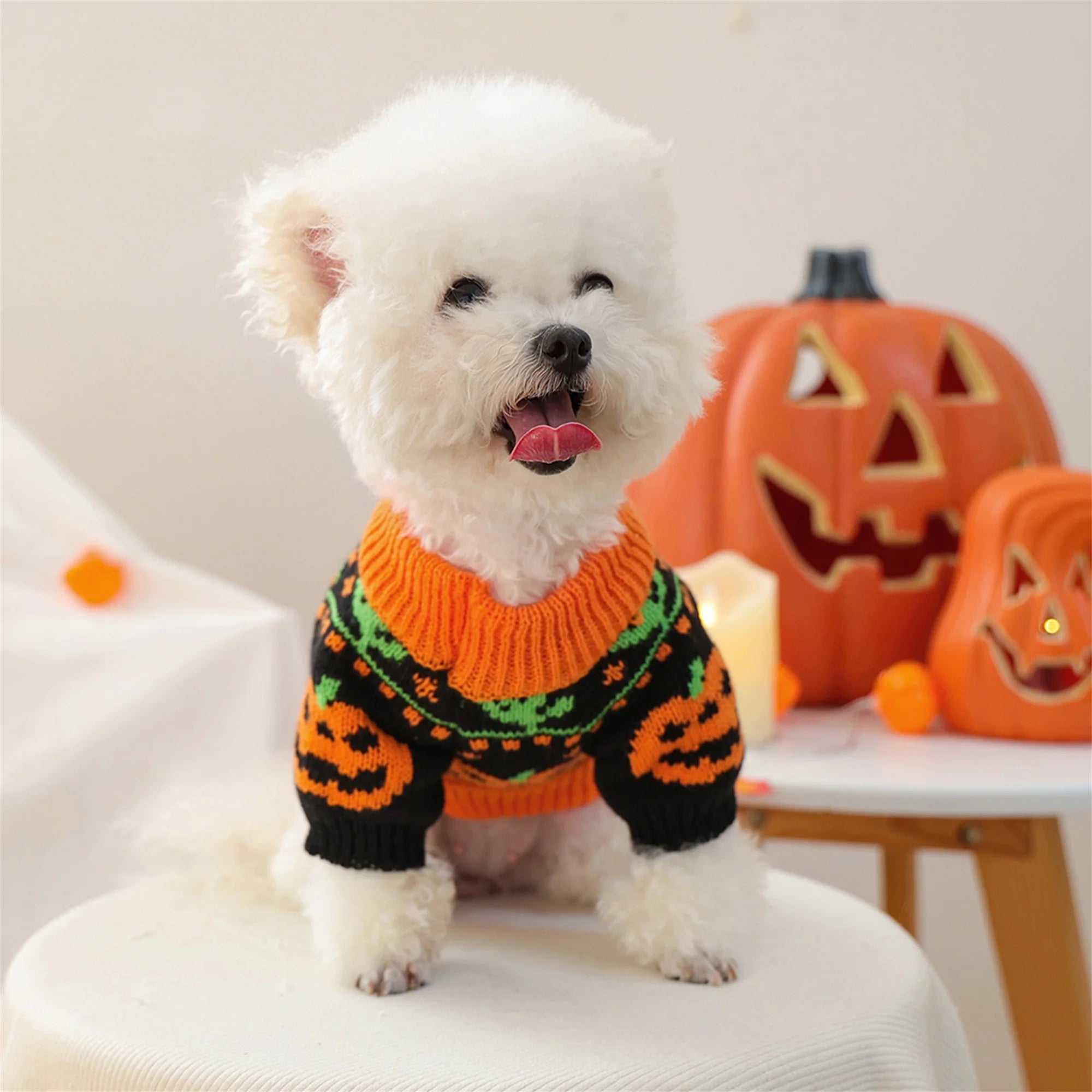 Halloween Jack-o-lantern Costume for Dogs and Cats