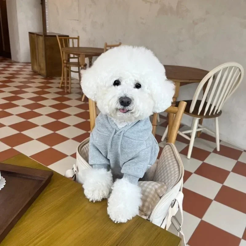 Letter Hoodie Pet Clothing for Dog