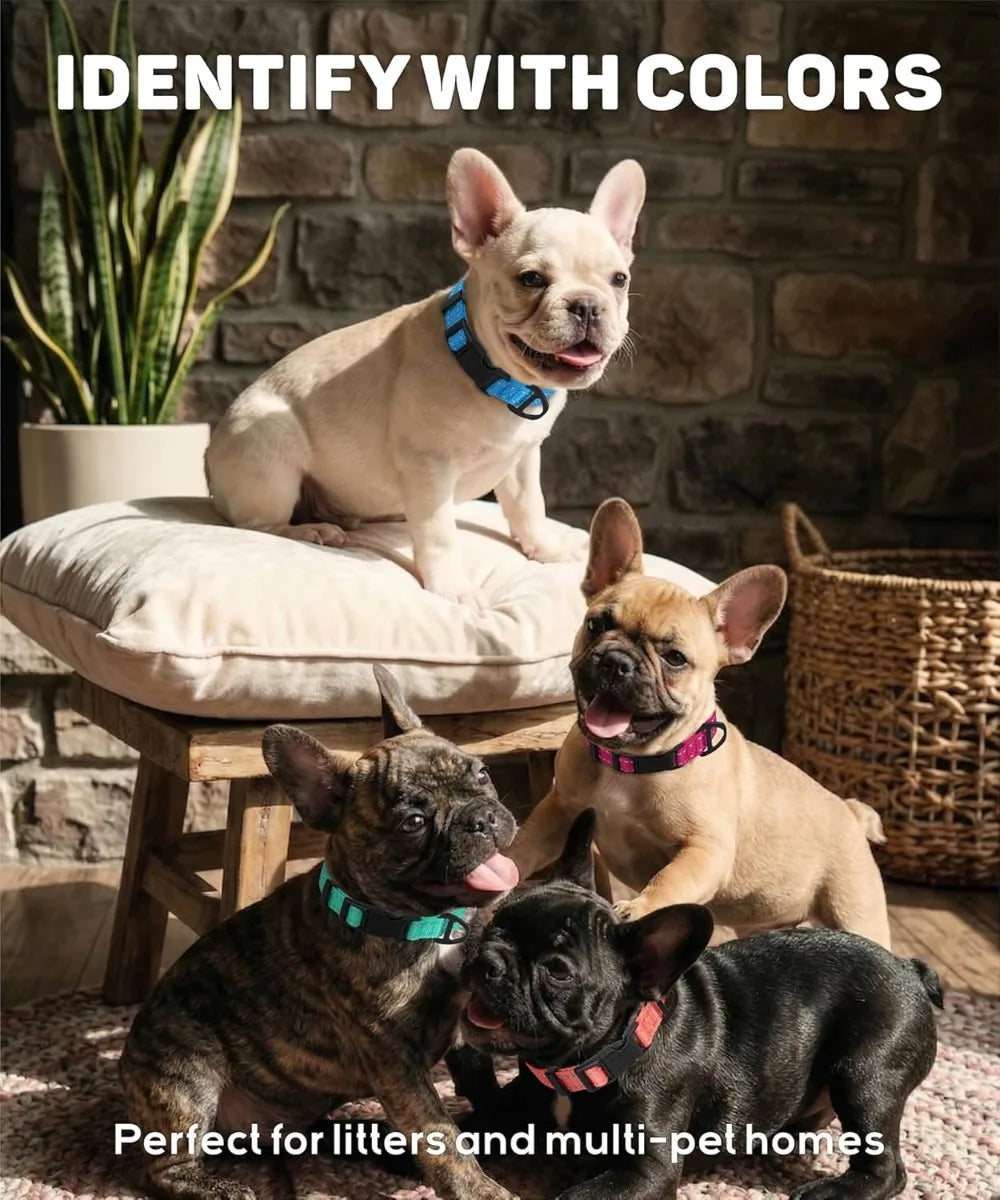 Reflective Nylon Dog Collars,
