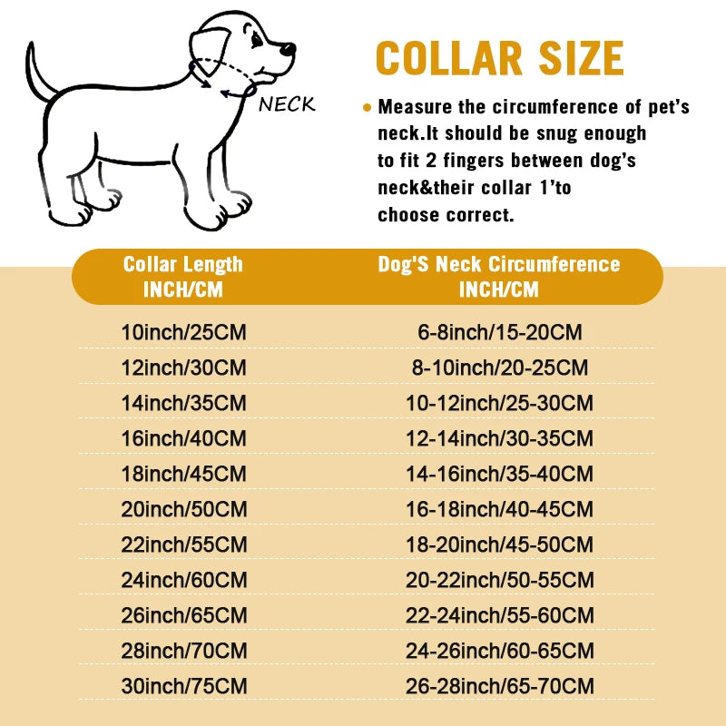 Stainless  Steel W Gold Metal Chain Collar for Large Dog