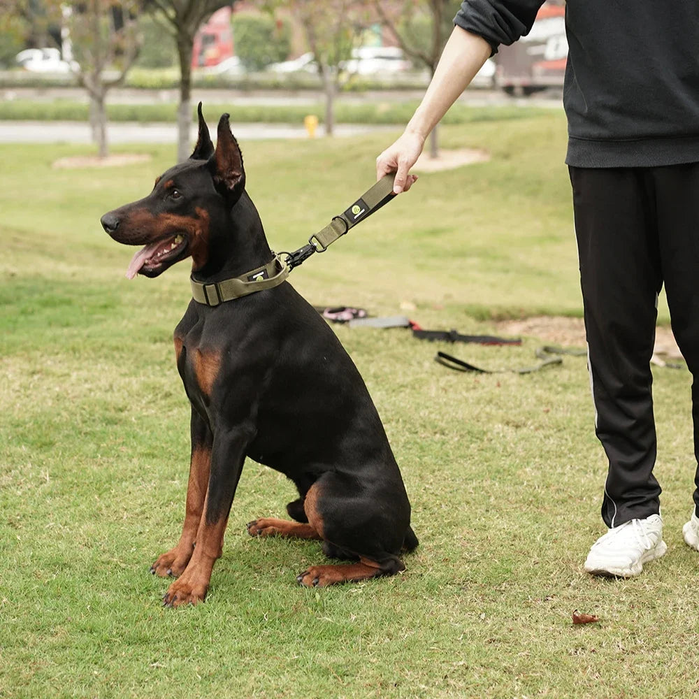 Short Dog Leash Traffic Padded Handle Nylon Dog Lead