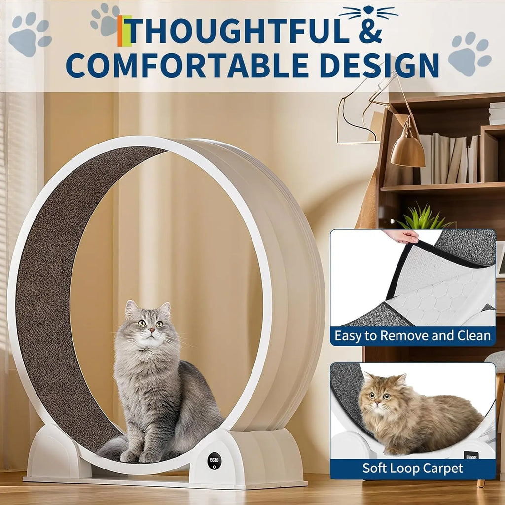 Indoor ABS Cat Wheel Exercisers