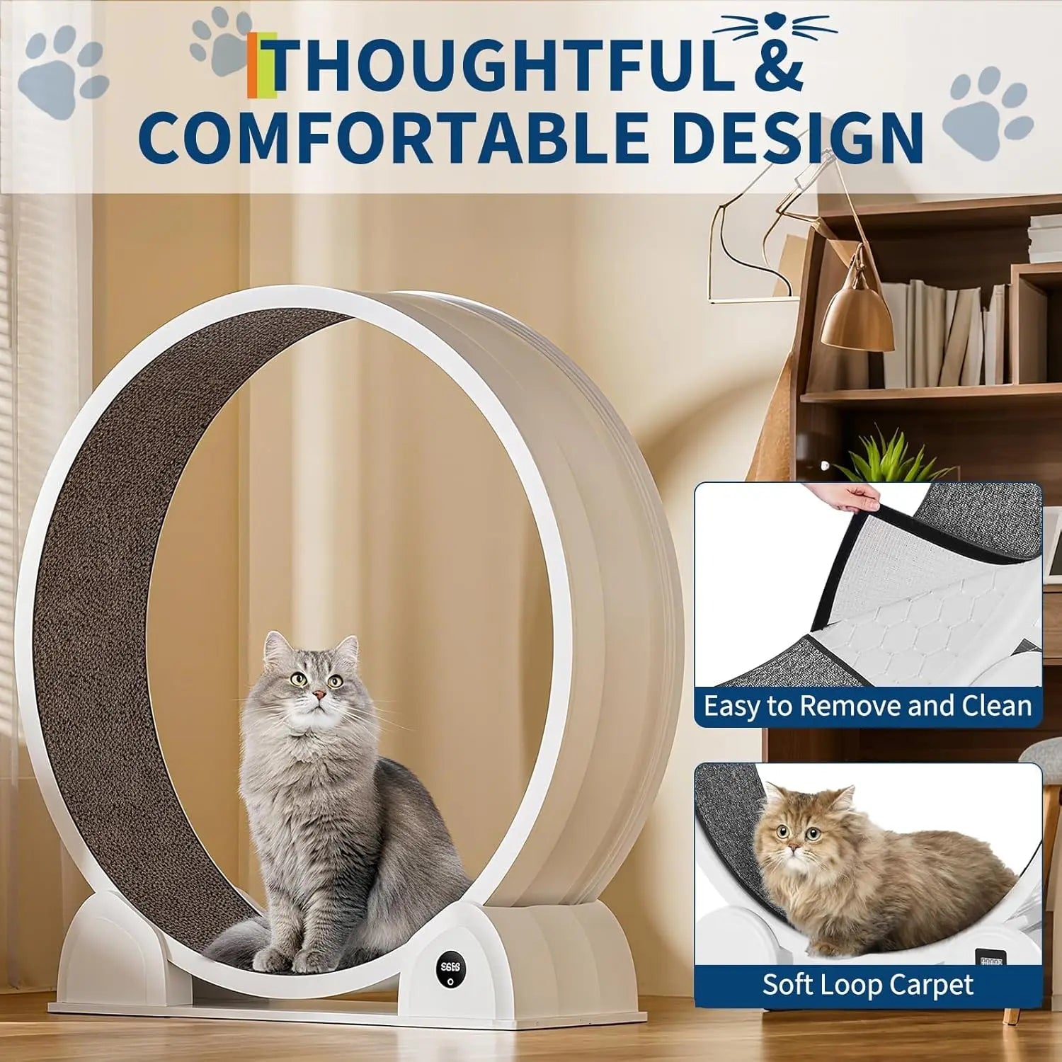 Indoor ABS Cat Wheel Exercisers