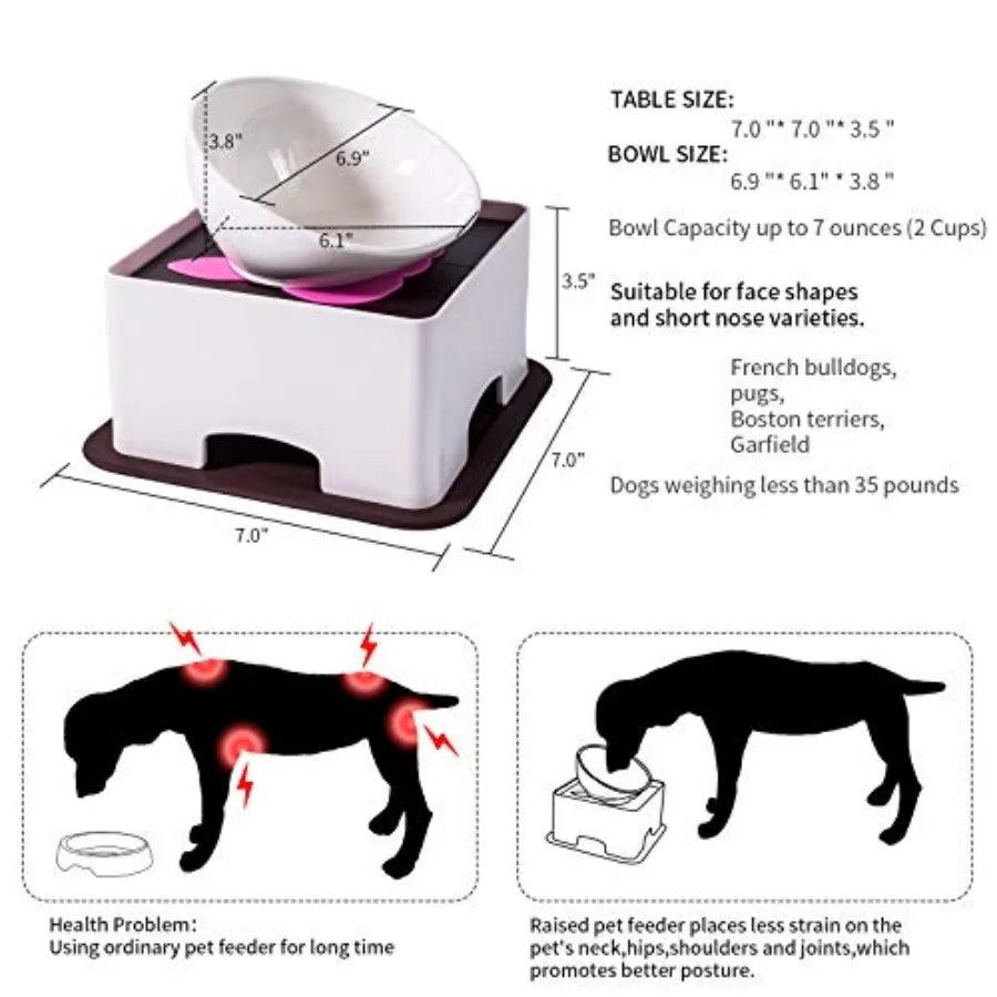 Raised Ceramic Dog Feeding Bowl