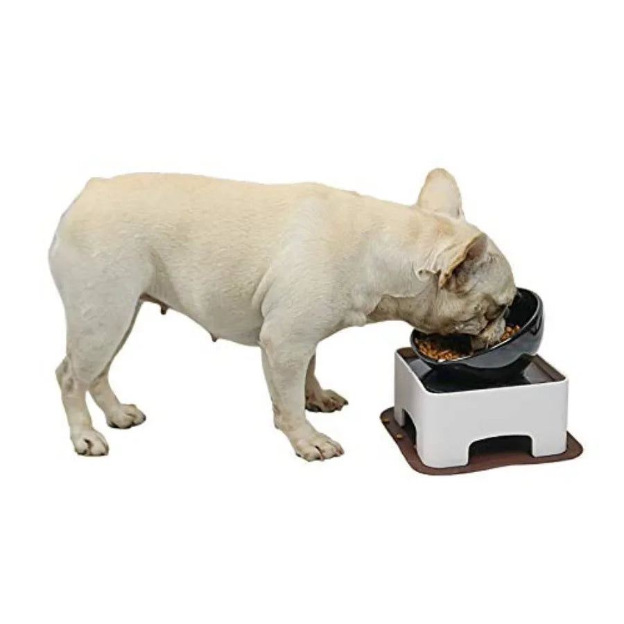 Raised Ceramic Dog Feeding Bowl
