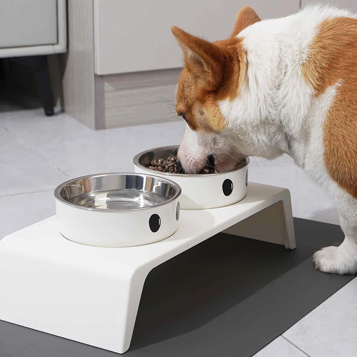 Elevated Pet Dog Feeder Bowls