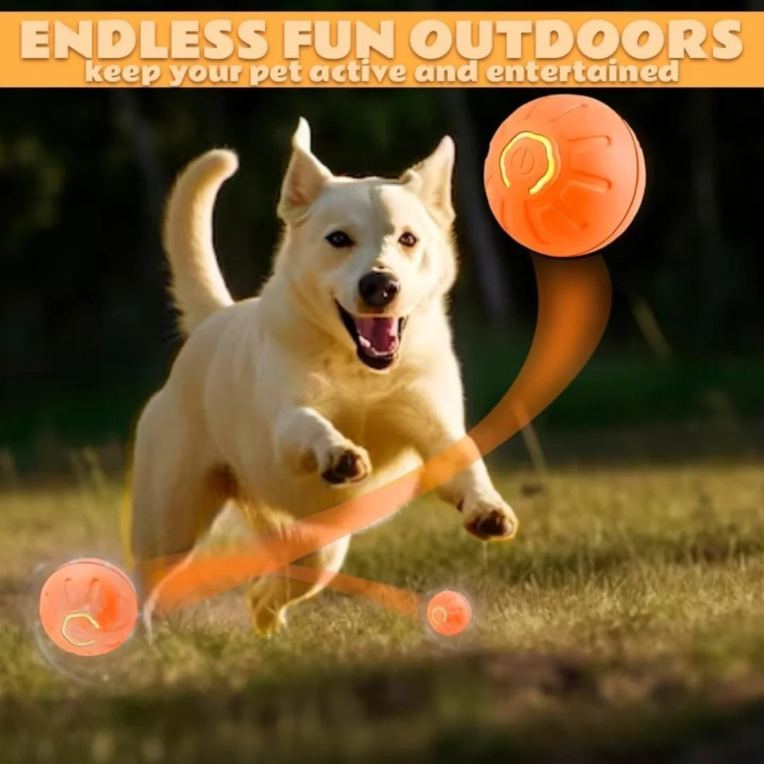 Smart Bouncing Electric Pet Ball,