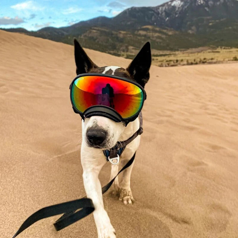 Anti-UV  Dog Goggles