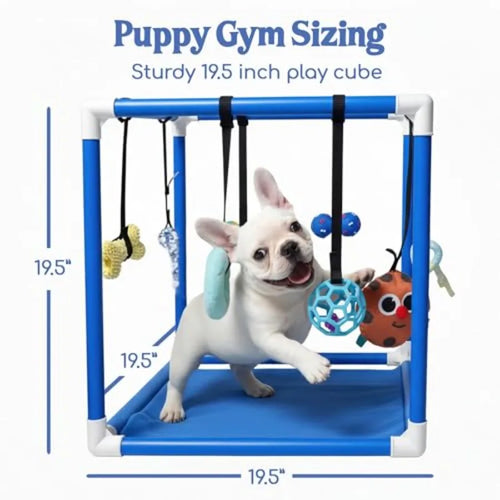 8 Bungee Straps Dog Play Mat