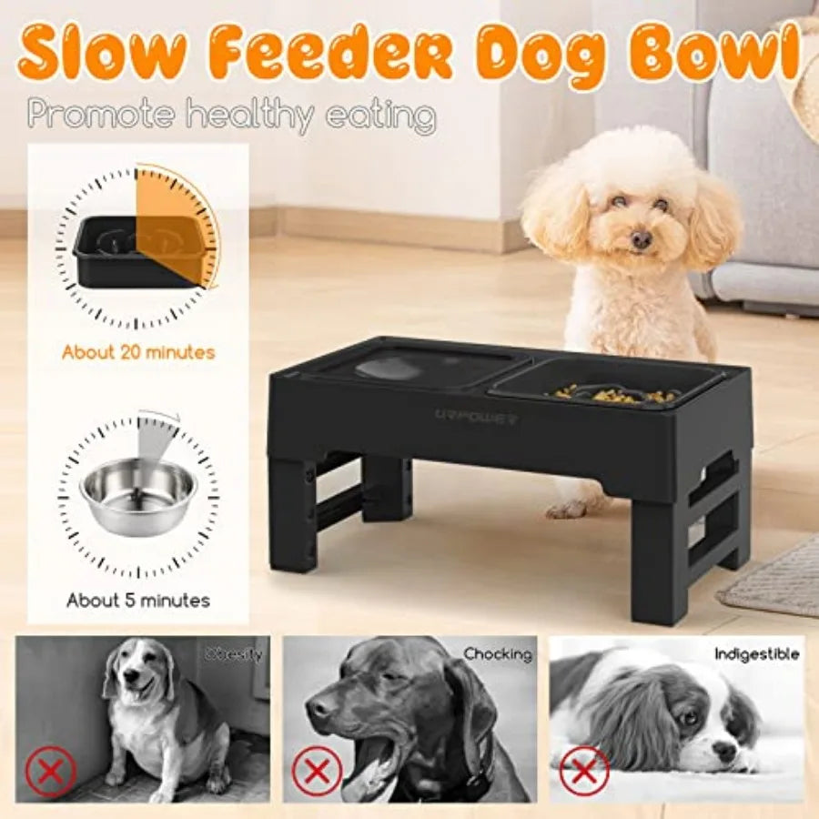 2-in-1 Elevated Dog dish with Height-Adjustable