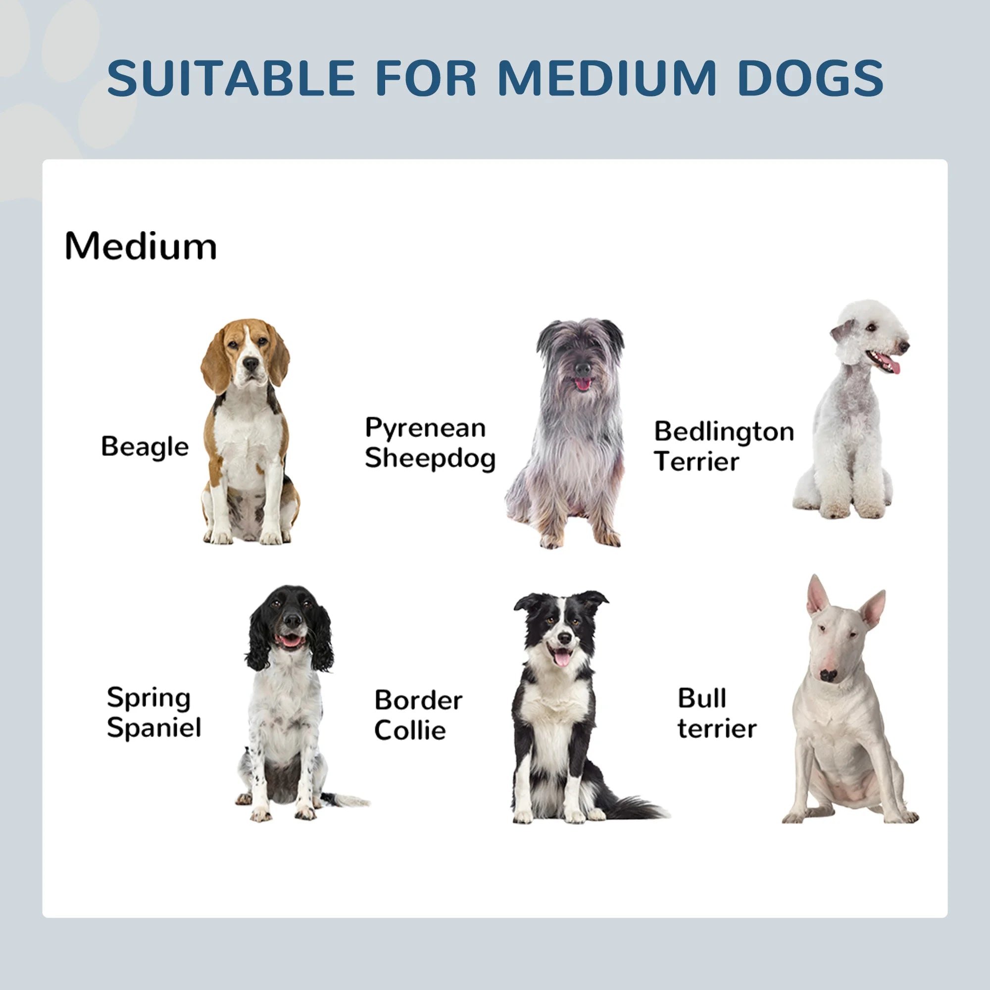 Raiaed- 2-in-1 Stainless Steel Pet Dish