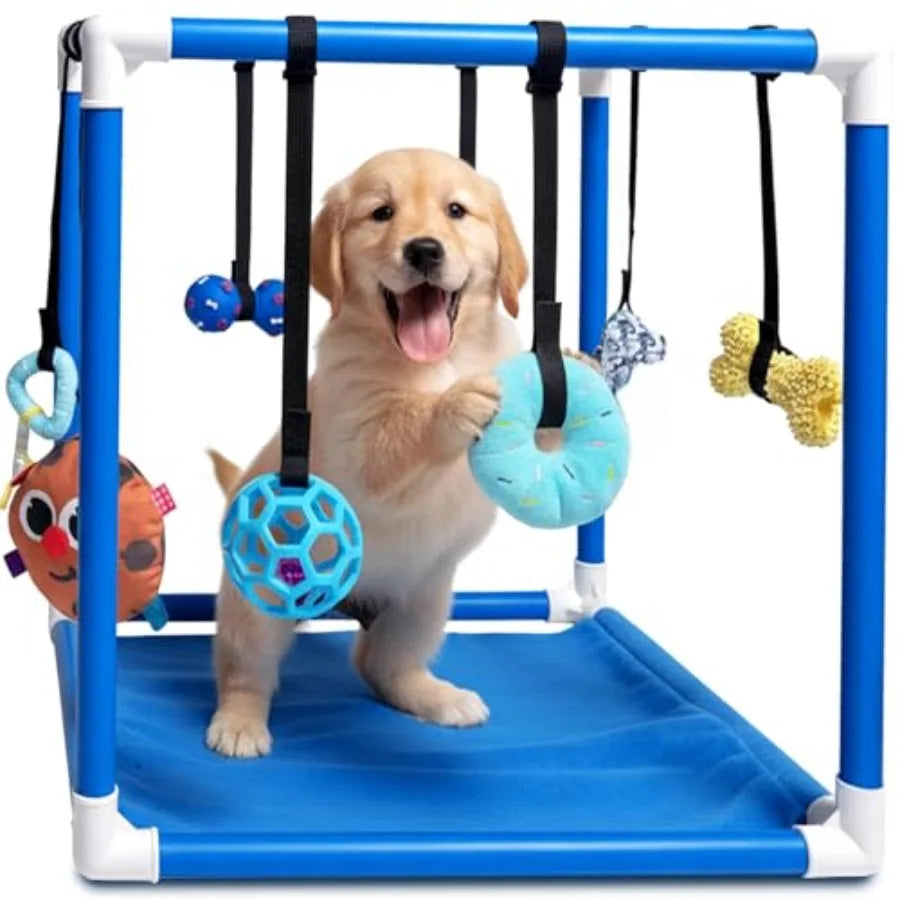8 Bungee Straps Dog Play Mat