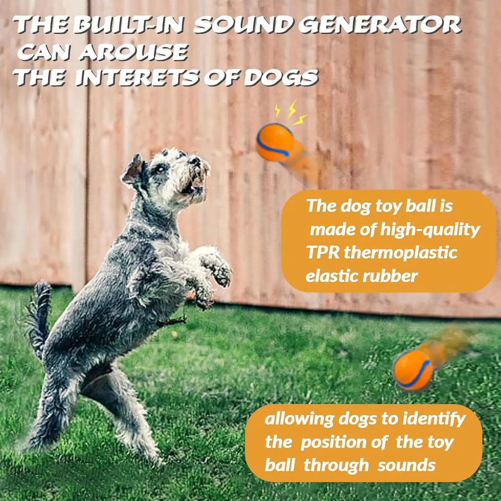 Rubber Pet Chew Ball -