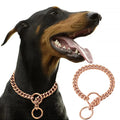 Stainless  Steel W Gold Metal Chain Collar for Large Dog