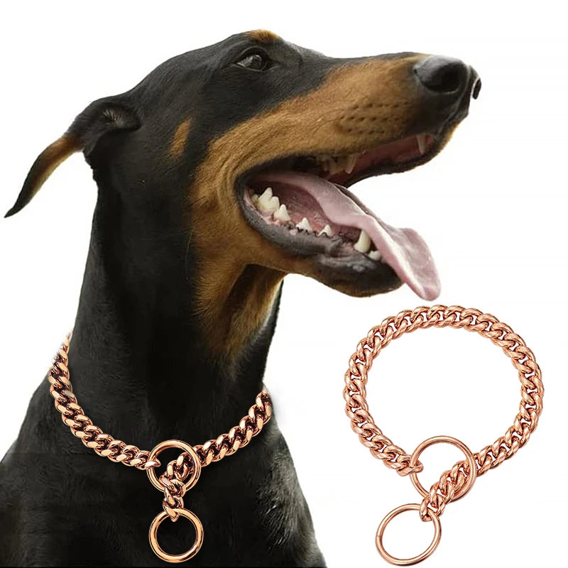 Stainless  Steel W Gold Metal Chain Collar for Large Dog