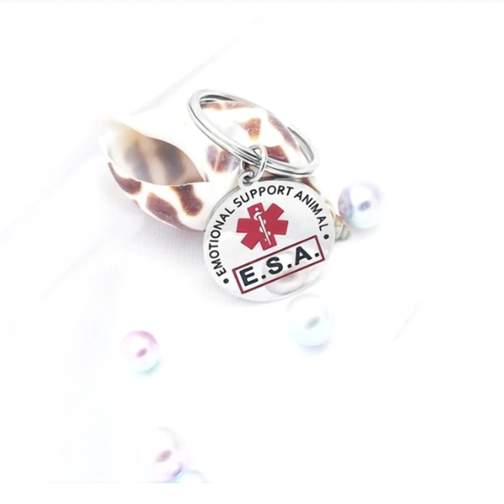 Personalized Dog Tag Anti-Lost Stainless Steel Dog Tag