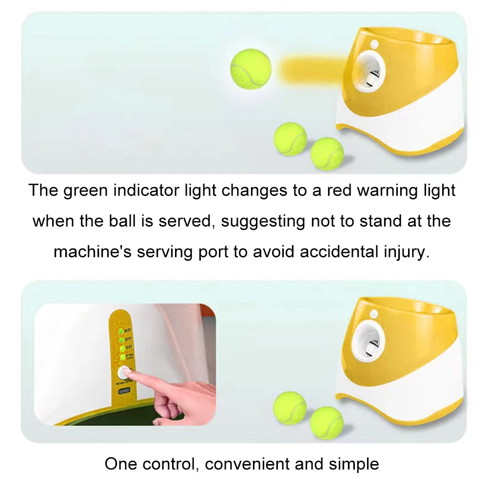 Automatic Pet Dogs Chase,  Fun Interactive Throw Toy