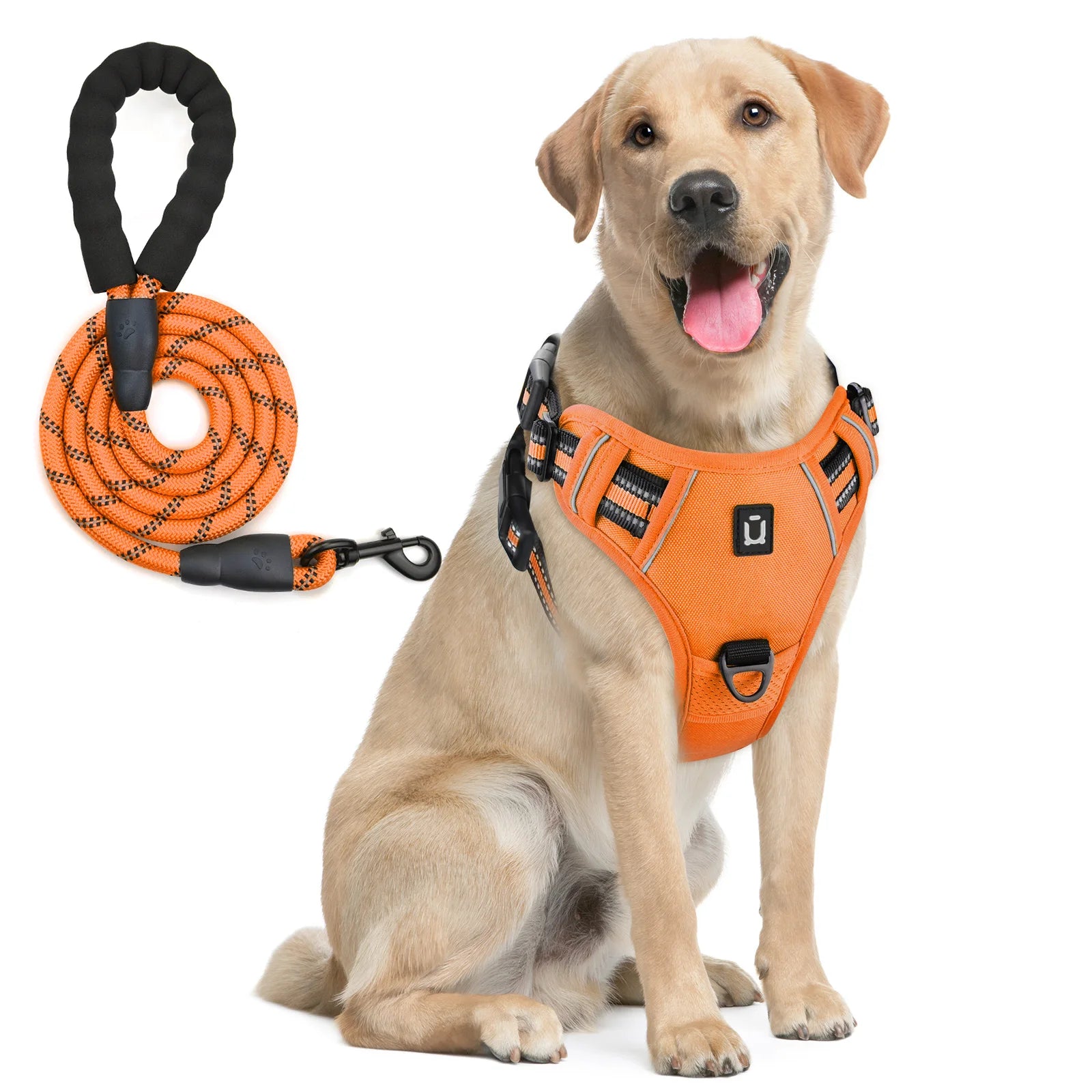 Assorted colors, Dog Harness and Leash Combo, Escape Proof
