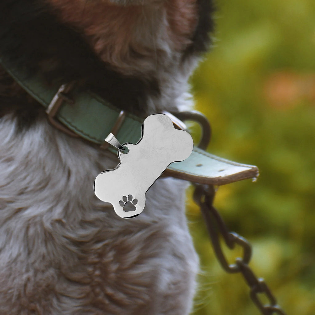 10 Pcs Stainless Steel Dog Tags  Blank Dog Name Tags