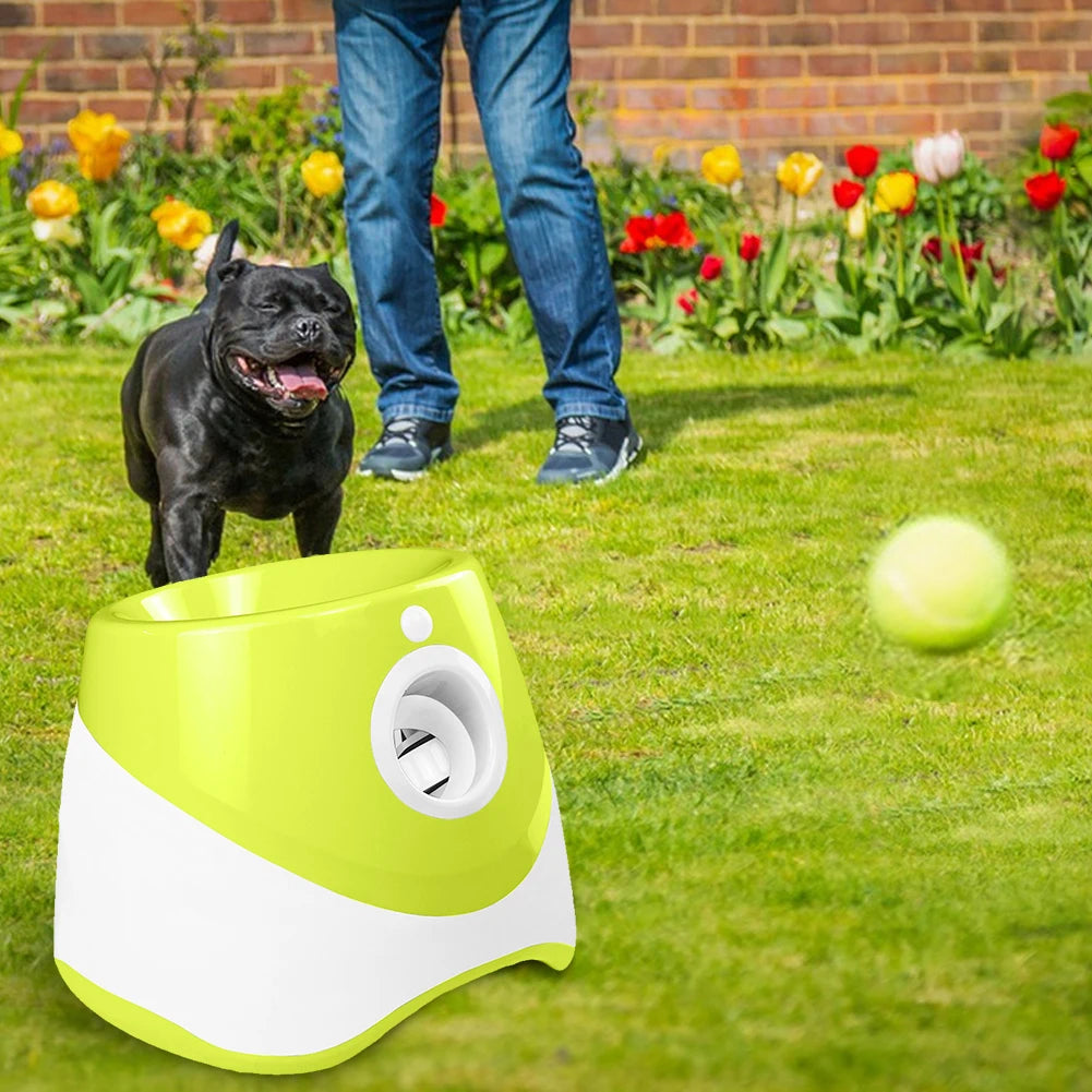 Automatic Pet Dogs Chase,  Fun Interactive Throw Toy