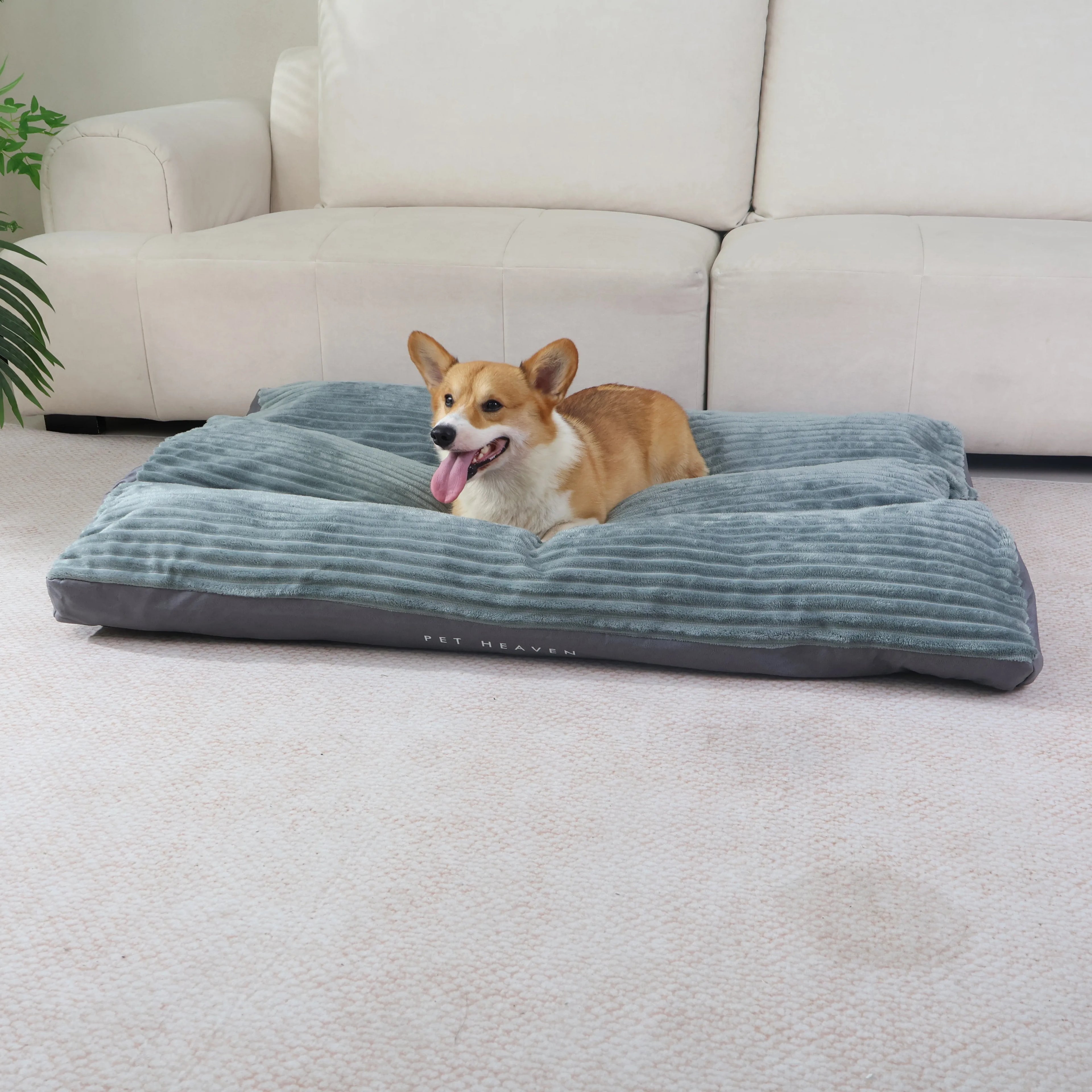 XXL Dog Bed Kennel Extra Thick