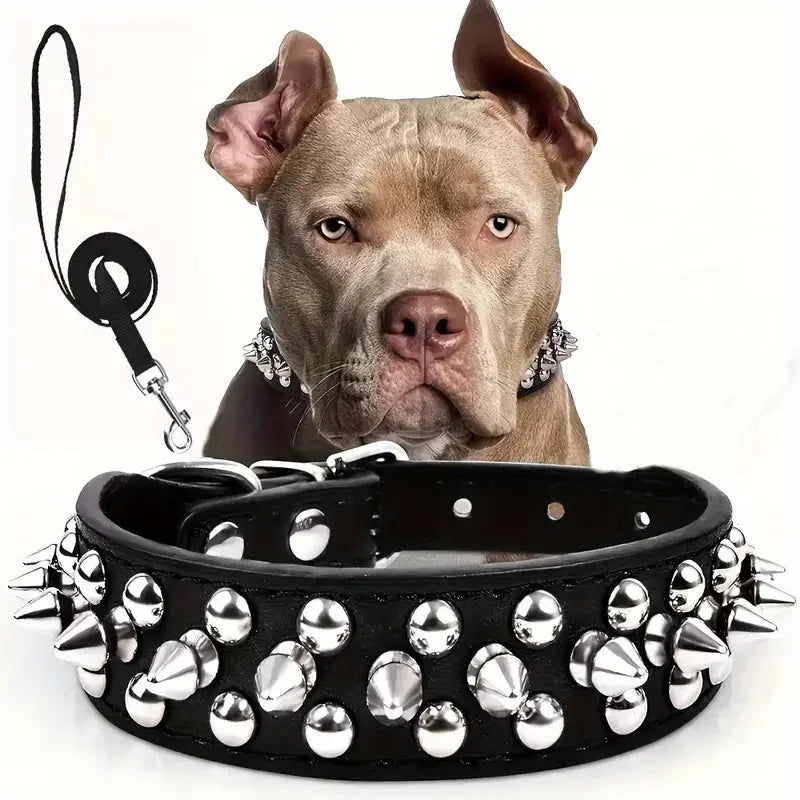 Spiked Dog Collar And Leash Set,