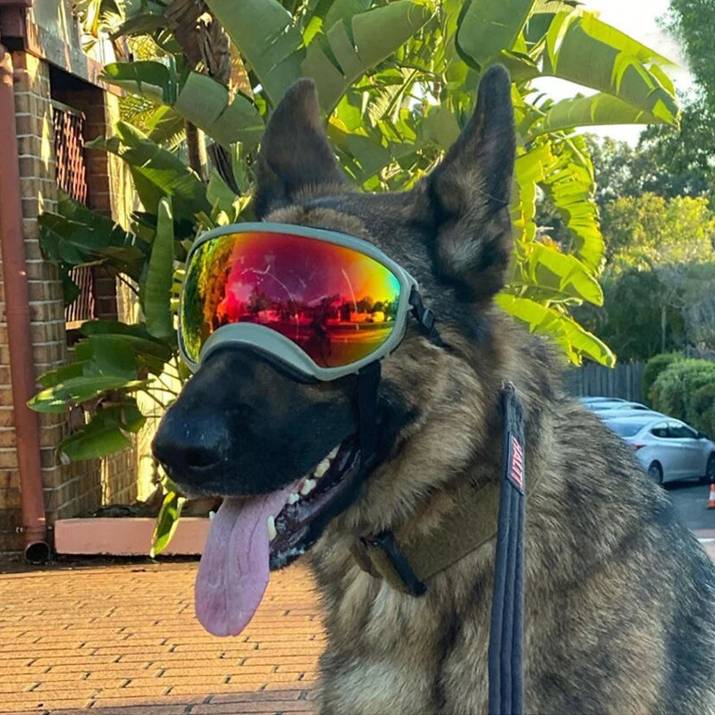 Anti-UV  Dog Goggles