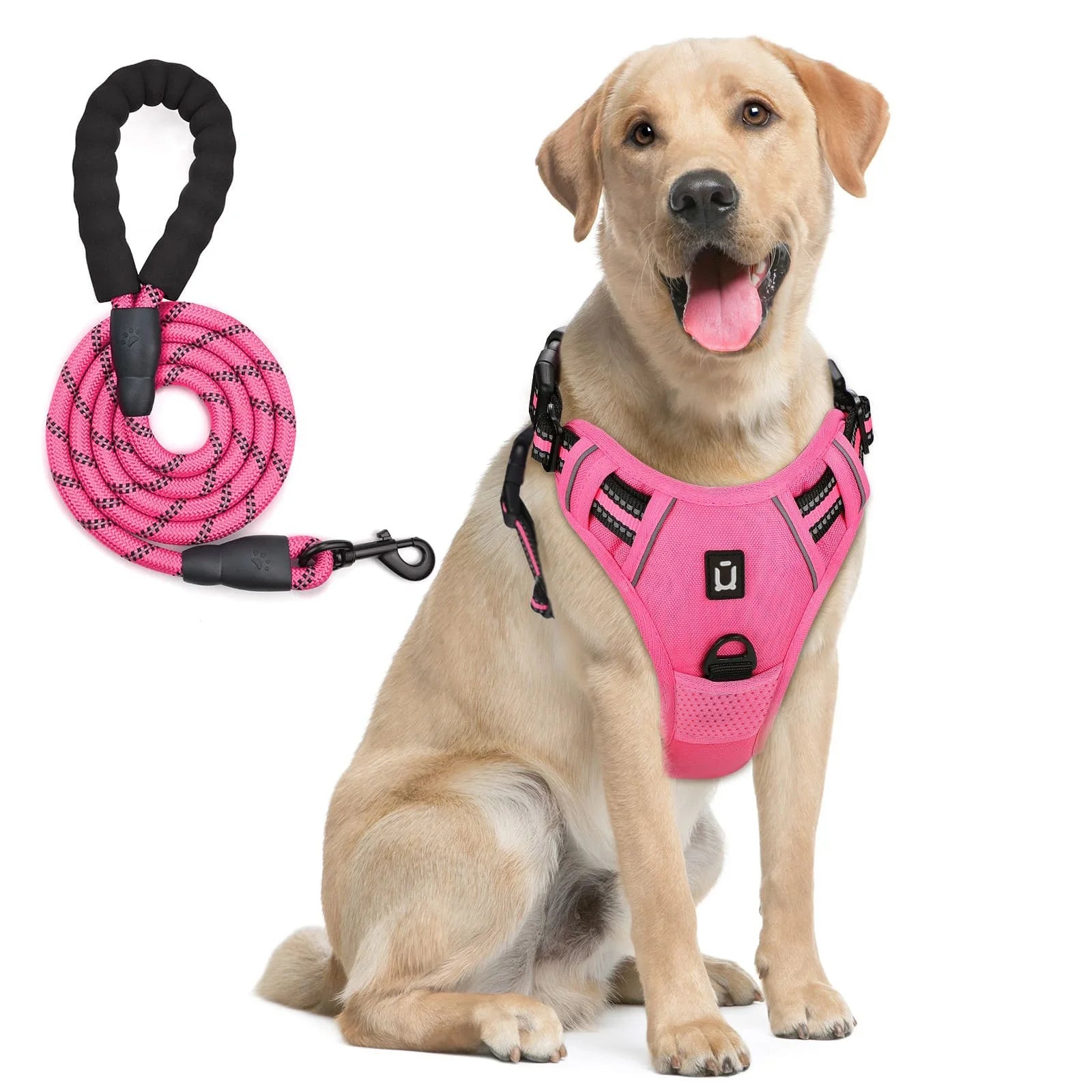 Assorted colors, Dog Harness and Leash Combo, Escape Proof