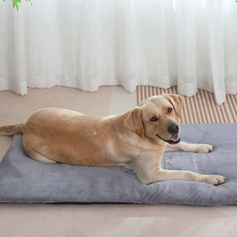 Dog Bed Short Plush Heated Sleeping Mat