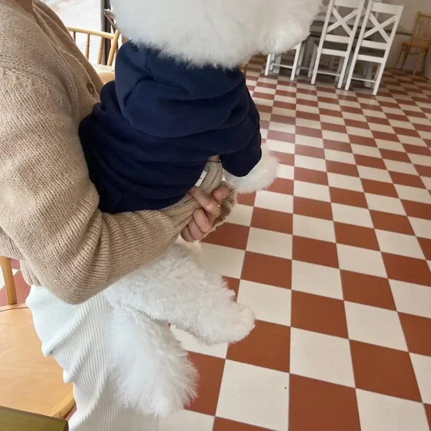Letter Hoodie Pet Clothing for Dog
