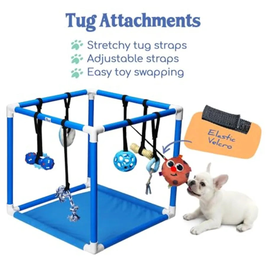 8 Bungee Straps Dog Play Mat