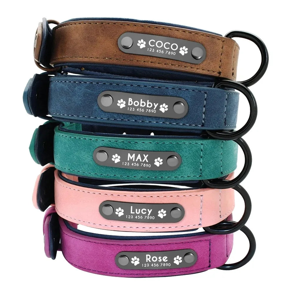 Personalized Name ID Tags Dog Collars Custom Text