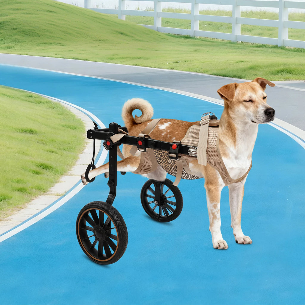 Pet Walking Aid Pet Rehabilitation