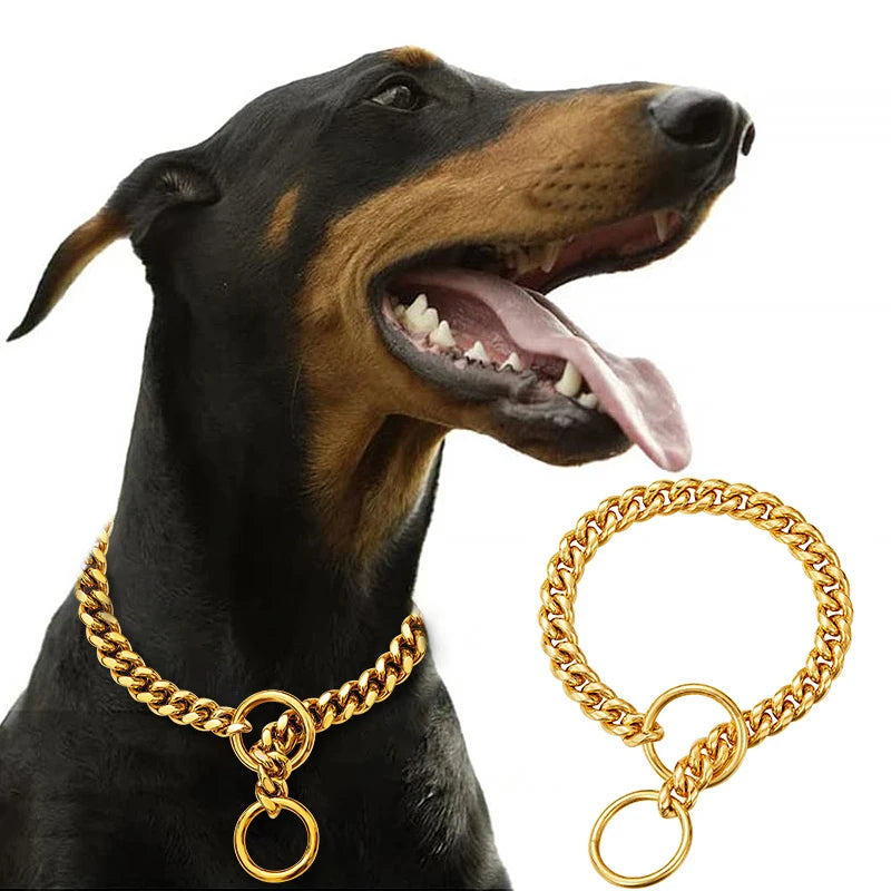 Stainless  Steel W Gold Metal Chain Collar for Large Dog