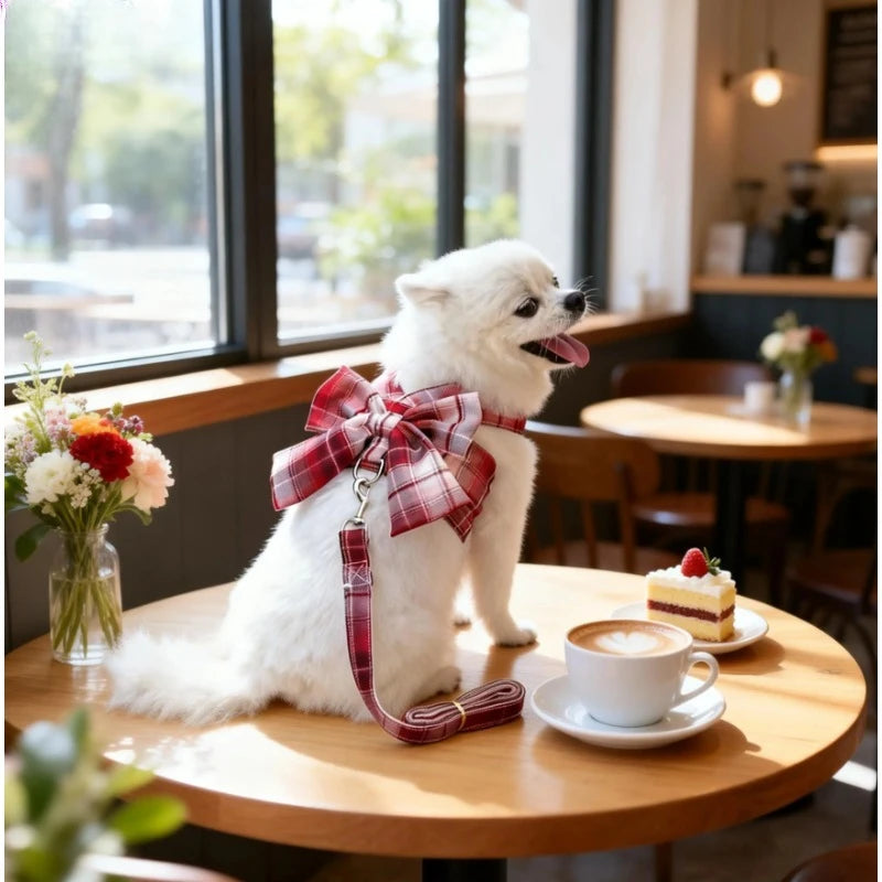 Cute No-Pull Dog Christmas Harness Set -
