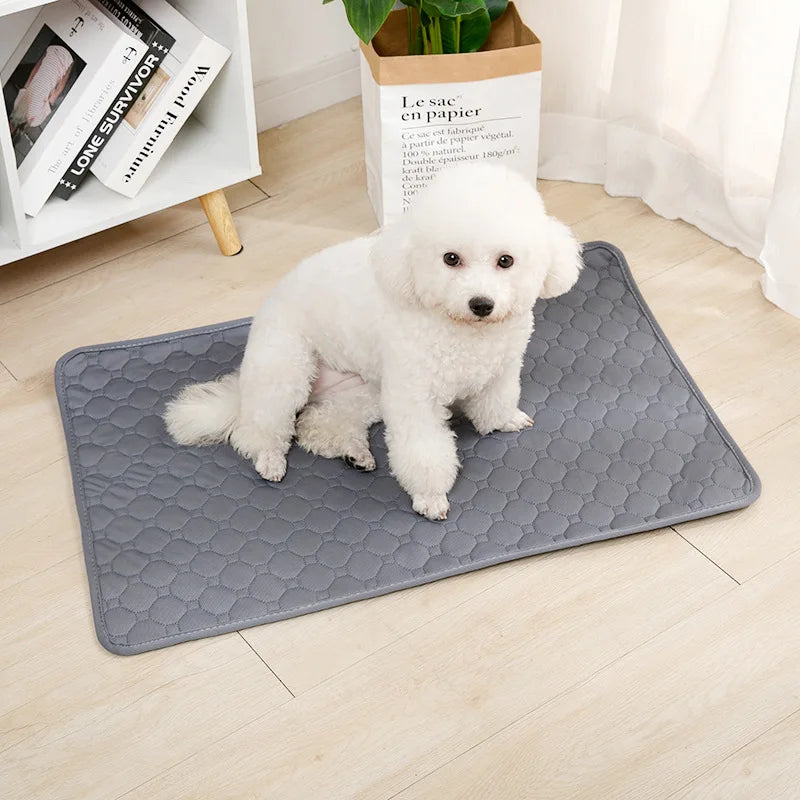 Reusable Dog Pee Blanket , Absorbent Washable Training Pad
