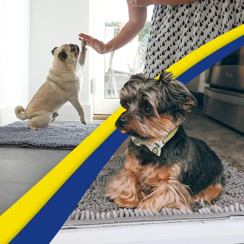 Super Absorbent Microfiber Dog Door Mat for Muddy Paws,